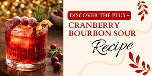 Cranberry Bourbon Sour Cocktail Recipe