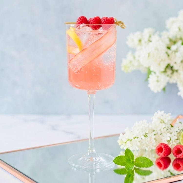 The Rhubarb Vodka Spritz Cocktail Recipe