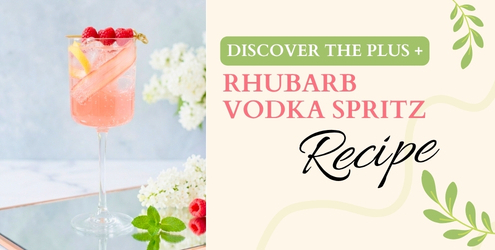 The Rhubarb Vodka Spritz Cocktail Recipe