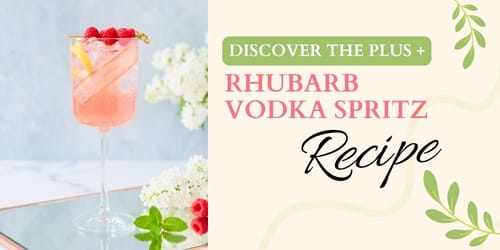 The Rhubarb Vodka Spritz Cocktail Recipe