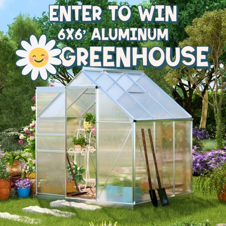 Northern Keep Greenhouse Giveaway (750 x 750) Northern Keep Greenhouse Giveaway