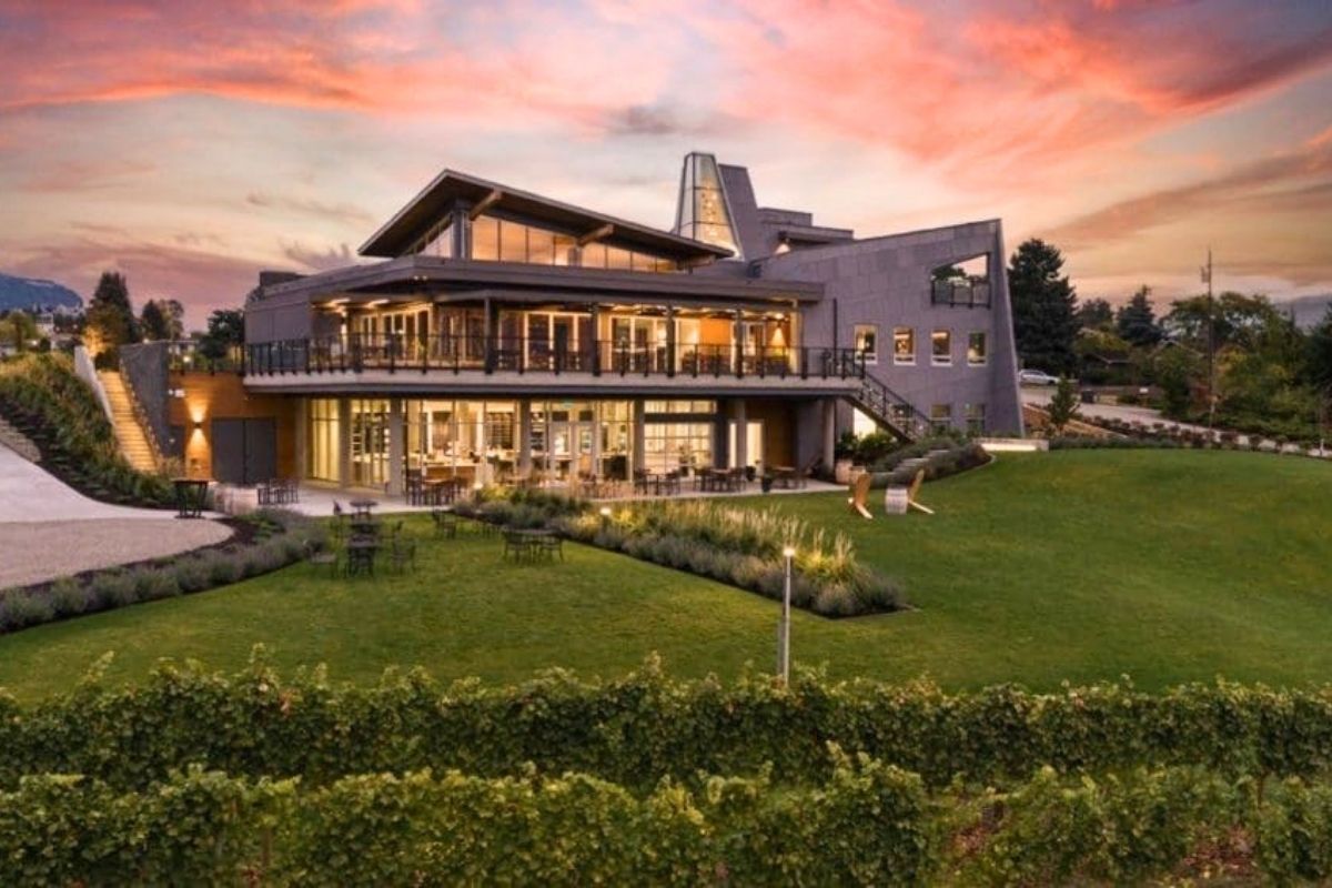 Mt. Boucherie Vineyard