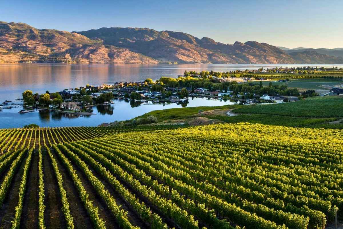 Quails' Gate Field & Flight Winery