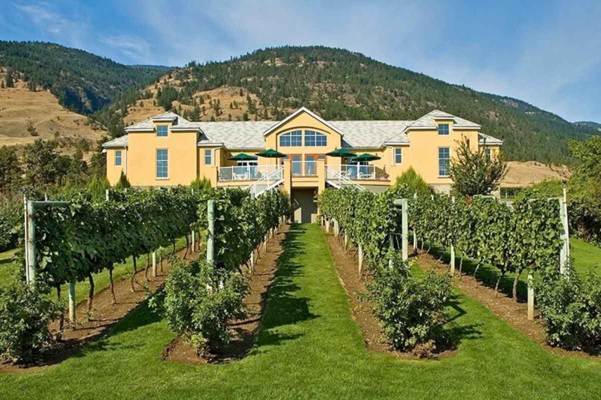 Tinhorn Creek Vineyard - 2 Tinhorn Creek Vineyard