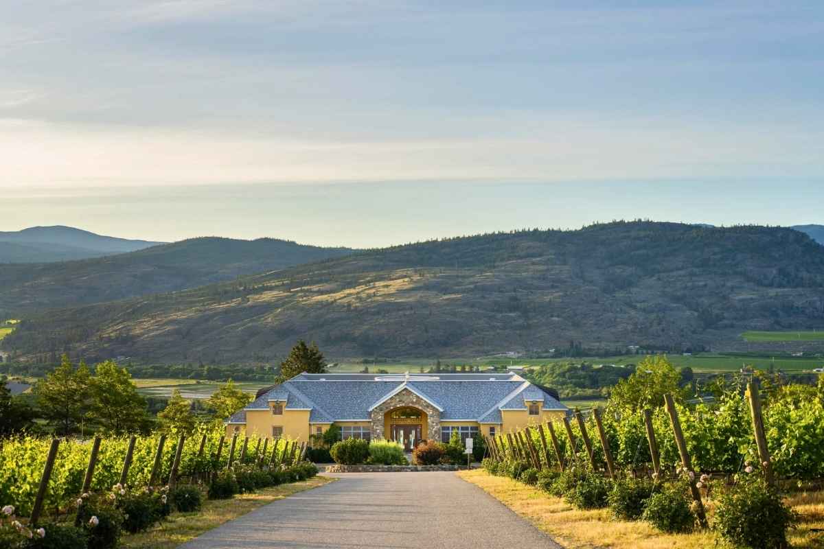 Tinhorn Creek Vineyard Tinhorn Creek Vineyard